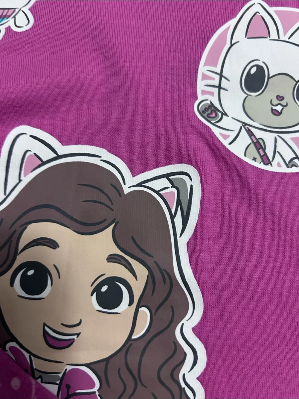 DreamWorks Gabby’s Dollhouse Pink Girls Pajama Set. NWT  (3T)